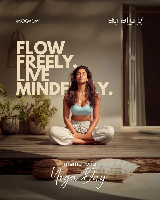 Flow Freely (Magazine) design